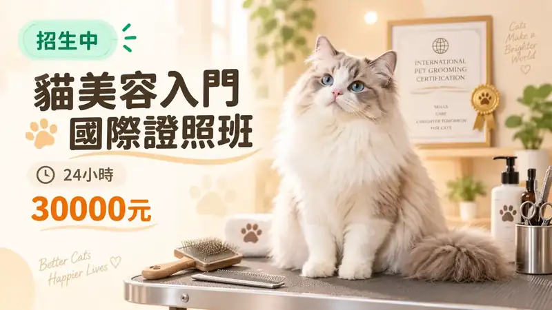 貓美容入門國際證照班