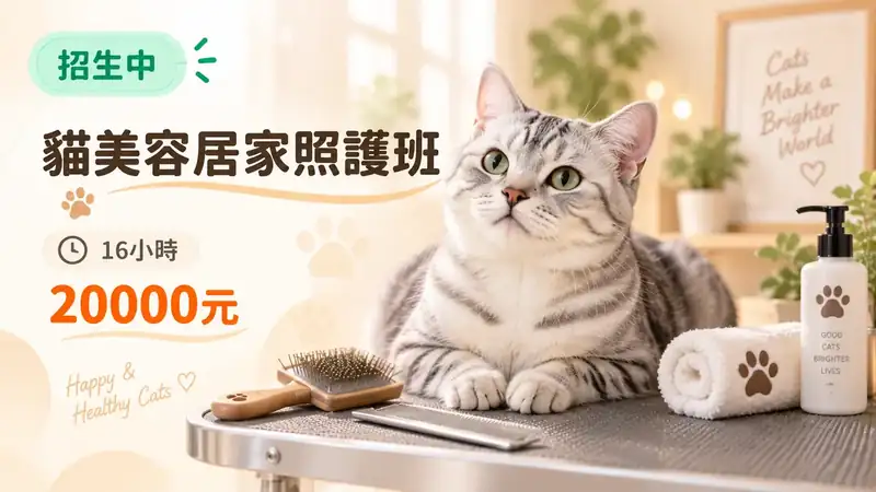 貓美容居家照護班