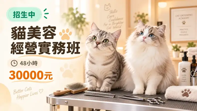 貓美容經營實務班