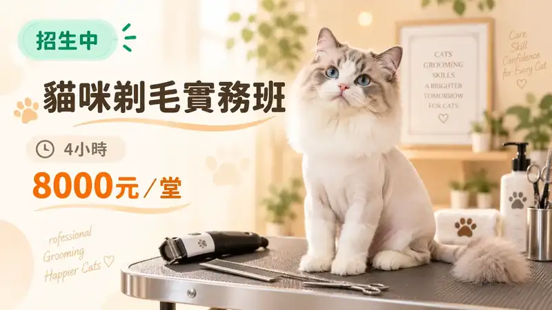 貓咪剃毛實務班