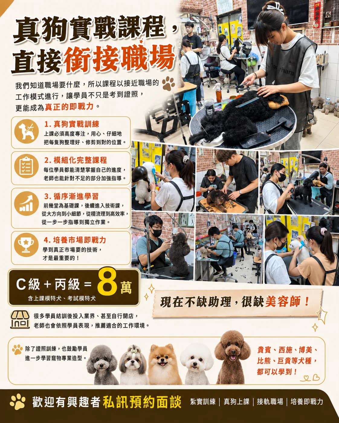 寵物美容課程介紹 圖片 1